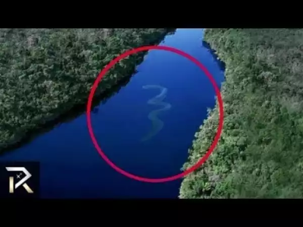 Video: Mysterious Creatures SPOTTED IN THE AMAZON | COMPILATION